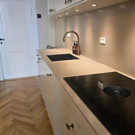 Luxurious In Embassy District Osterbro